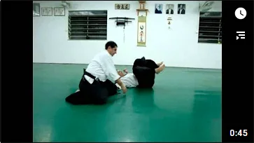 Imagem do acervo Cremona Dojo Aikido